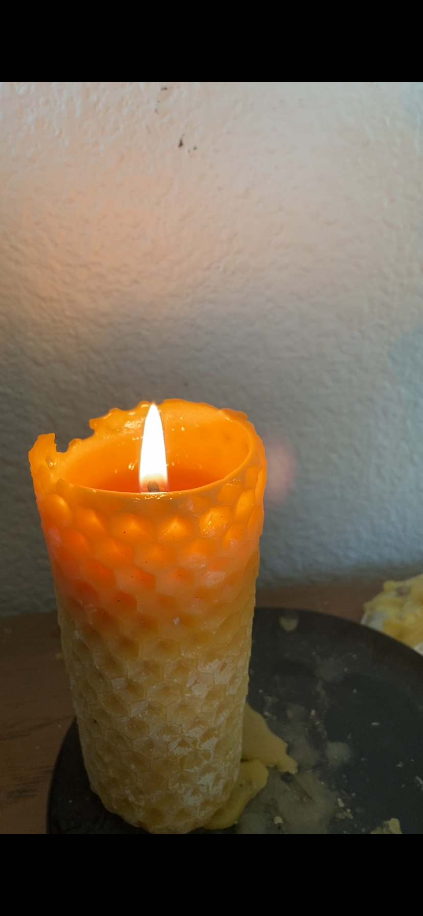 100% Beeswax Rolled Honeycomb W/ Bee On Top (20 hr burn time)